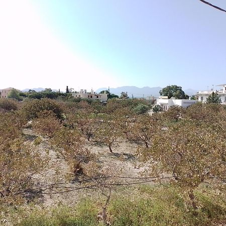 Miranta Hotel - Apartments & Studios Aegina المظهر الخارجي الصورة