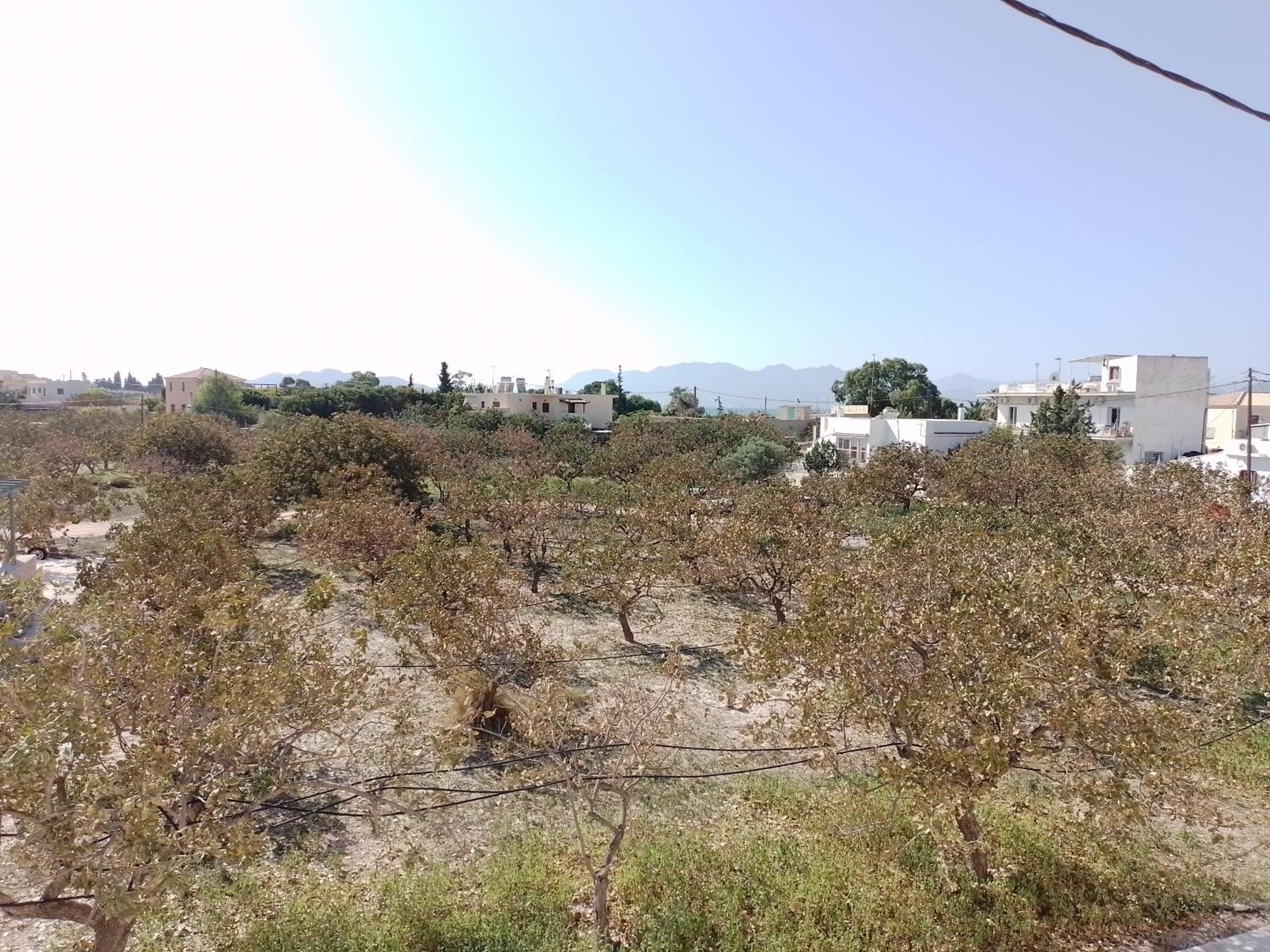 Miranta Hotel - Apartments & Studios Aegina المظهر الخارجي الصورة
